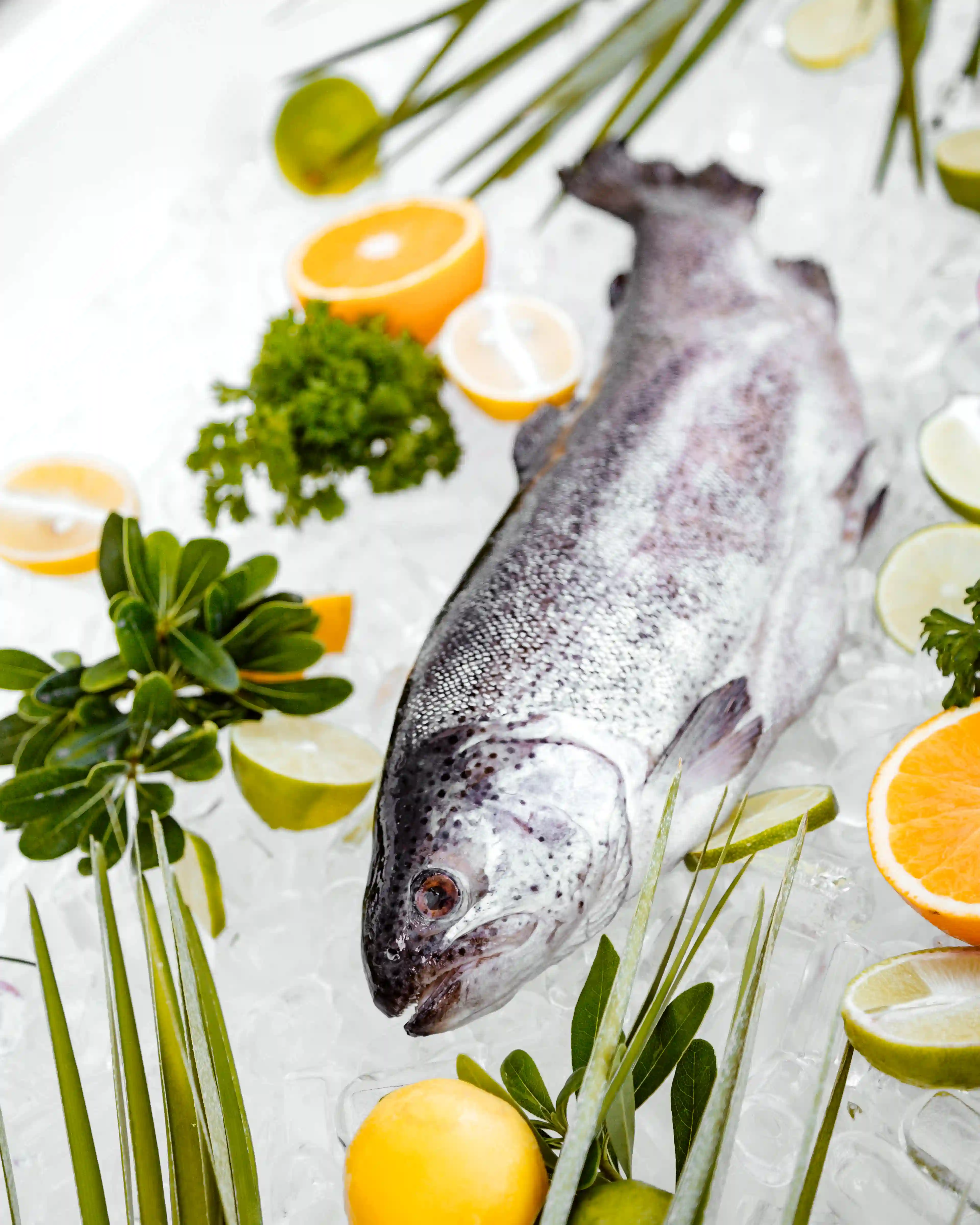 Pescados Frescos